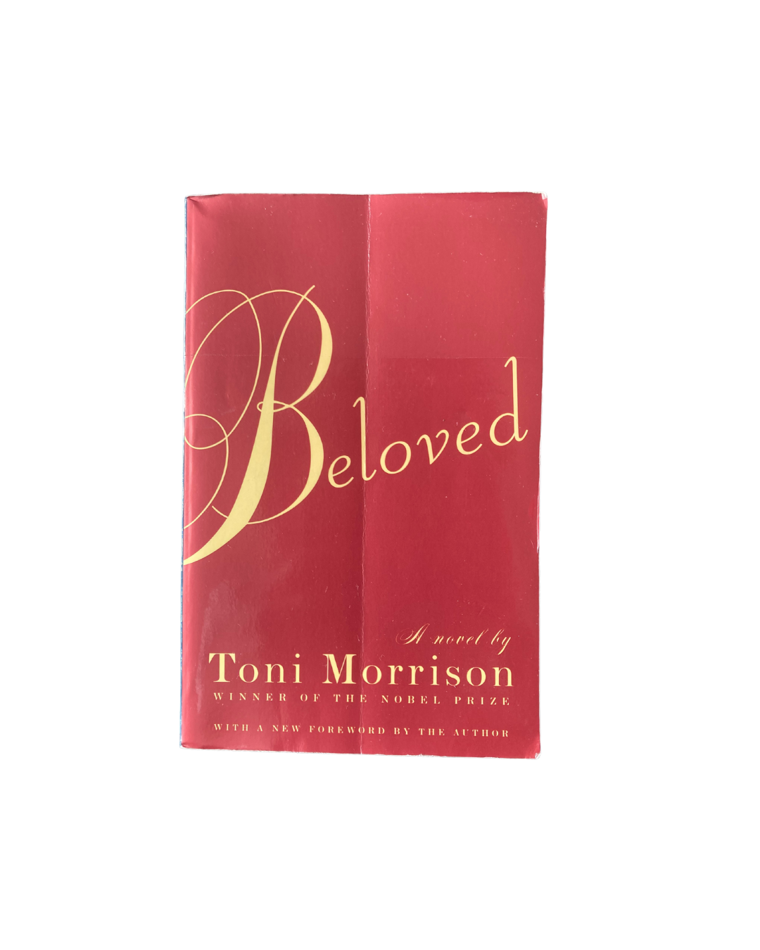 Beloved by Toni Morrison