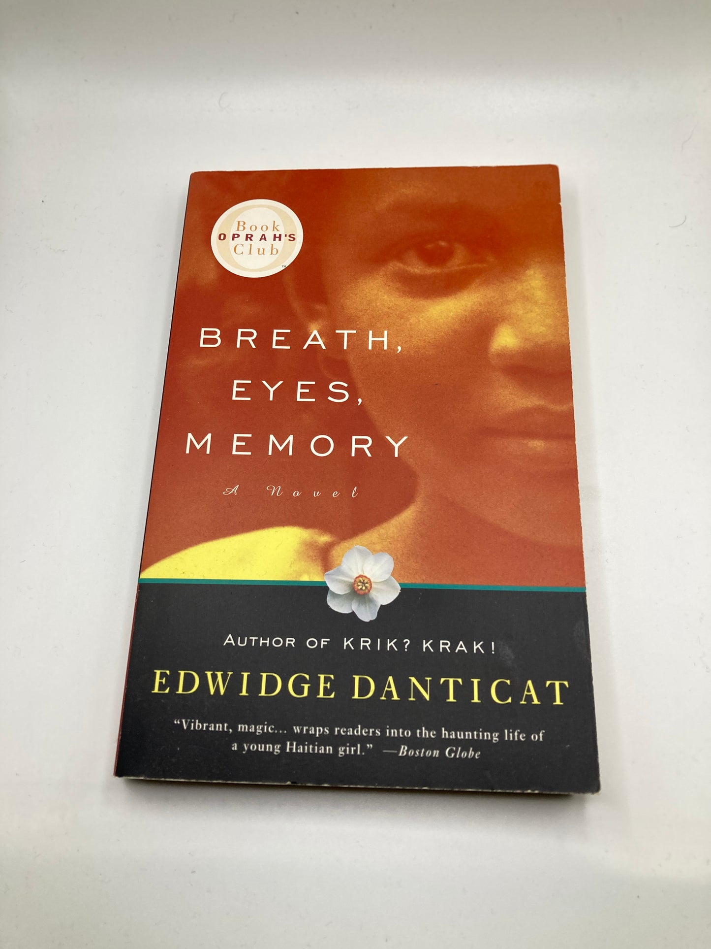 Breath, Eyes, Memory by Edwidge Danticat